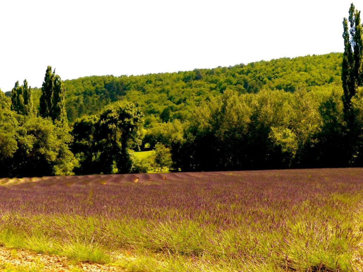 La Fontaine De Rocoule Hotel Rochefort-en-Valdaine Bagian luar foto
